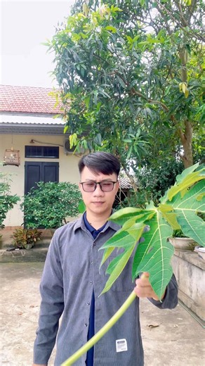 Making a wind instrument from a papaya branch #shorts #bvc