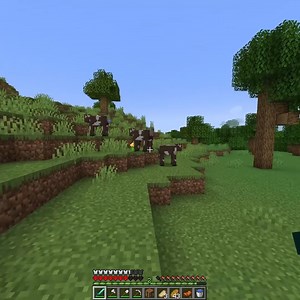 20K views · 471 reactions | Minecraft Hardcore, But You Run Super Fast | Minecraft Curios | Facebook