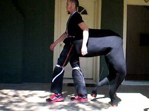 covered centaur walk