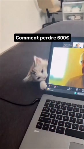 Ousortir Paris guide | Restos | Sorties on Instagram: "Comment perdre 500e"