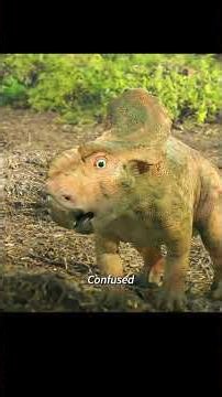 The Pachyrhinosaurus mother opens her mouth wide.#usa #fyp #movie #dinosaur #animals