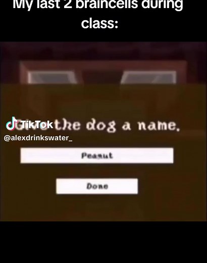 Naming Dog Peanut or Done? Funny School Memes