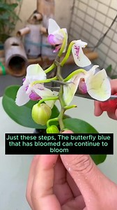 308K views · 1.6K reactions | Good tips spread #backyardgardening #gardeninglife #vegetablegardening #vegetablegarden #gardeningtips #gardeninglove #organicgardening #gardensofinstagram #gardenideas #urbangardening #gardeningistherapy #gardeninggoals #homegardening #gardeninspiration #lovegardening #gardeningisfun #countrygarden #gardeningmakemehappy #veggiegarden #happygardening | Gardening Tips | Facebook