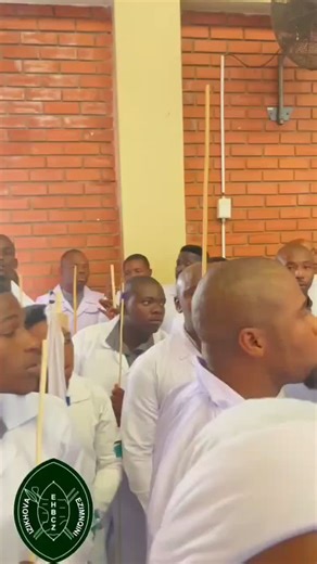 Exploring the Alta and Contra Alto Voices