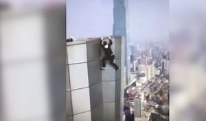 Chinese 'Rooftopper' Films His Own Death as He Falls From Skyscraper: Watch Video