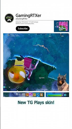 🦊 125 → 313 → 125 → 313 Damage! with new TG Plays skin 🦊