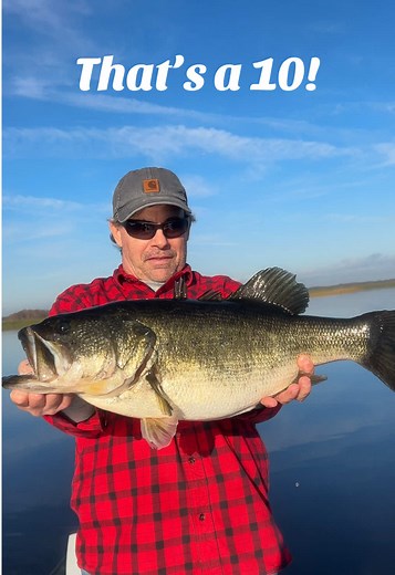 #bassfishing #florida #bass #fishing #largemouth #largemouthbass #Florida #floridafishing #fyp