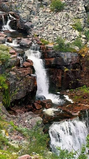 The Sound of Pure Nature💦🌿 #relaxation #naturesounds #shorts #calm #youtubeshorts