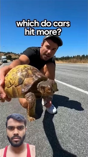 Turtles vs Snakes 😱 | Which Do Cars Hit More? 🐢🐍 #shorts #facts #wildlife #cars #shocking