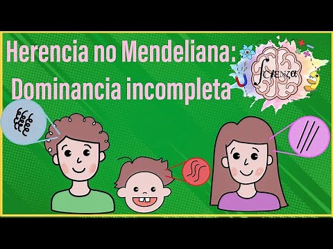 Non-Mendelian inheritance: Incomplete dominance in 2 minutes