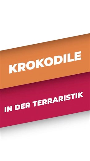 Würdest DU ein Krokodil halten? 🐊