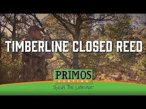 How to use Primos Timberline Closed Reed Elk Call