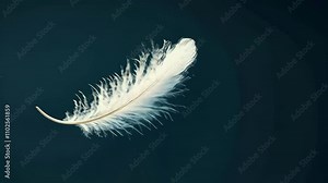 White feather gently floating across a dark background in a serene moment of nature