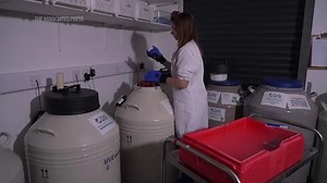 Inside the UK's first pet cloning clinic