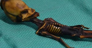 Revelan el misterio tras el supuesto 'Alien de Atacama'