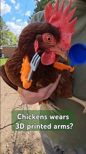 3D Printed Chicken arms #chickens #chickenfeed #chickenegg
