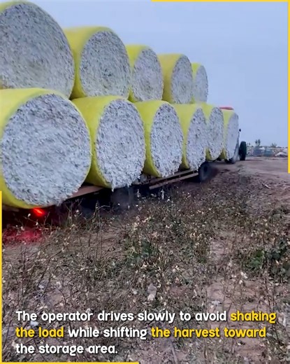 Tractor Hauling Giant Cotton Rolls. #CottonField #FarmTransport | Fun club