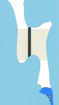 vidaXL Retractable Side Awning Cream 200x1200 cm