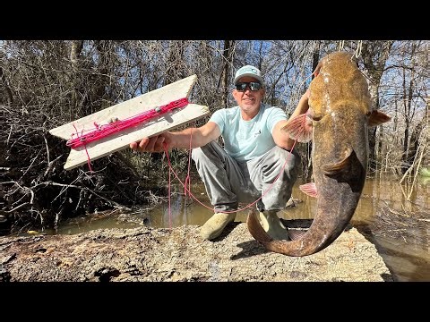 Fishing in the Swamp with a Board and some String. (Catfish Catch and Cook)