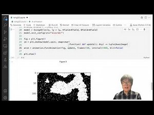 (7-5) Animation of 2D Ising Model