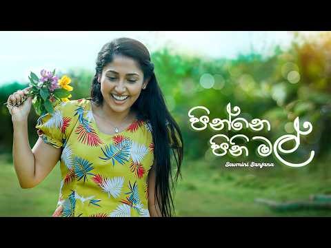 Pinne Pini Mal - Sewmini Sanjana | Husmak Lagin Teledrama Theme Song | eTunes