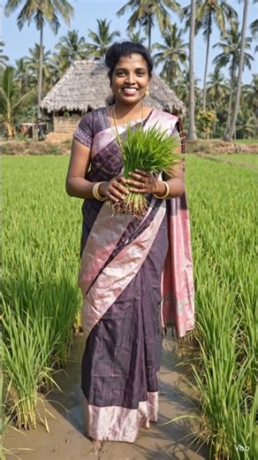 நெல் விதை விதைப்பதும் மகிழ்ச்சி 😄 #subscribemychannel#shortvideo#