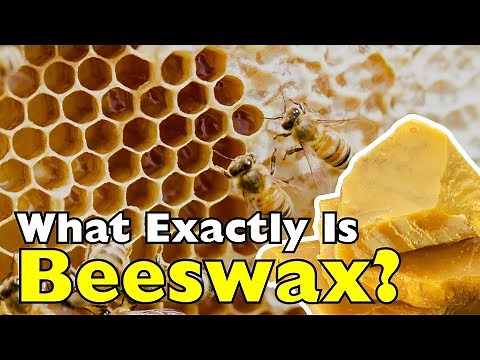 What Exactly Is Beeswax?