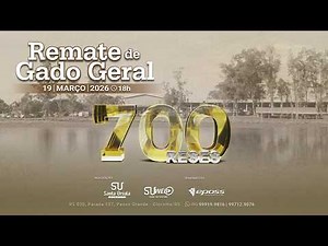 Remate de Gado Geral - 700 Reses - 19 de Março de 2026