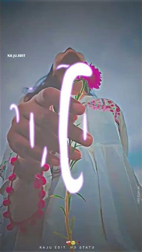 Arjun r meda Ni Navi teamli status Vk bhuriya new timli status Gujarati remix status