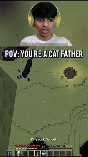 The Ultimate Minecraft Cat Dad Clutches! 🐾