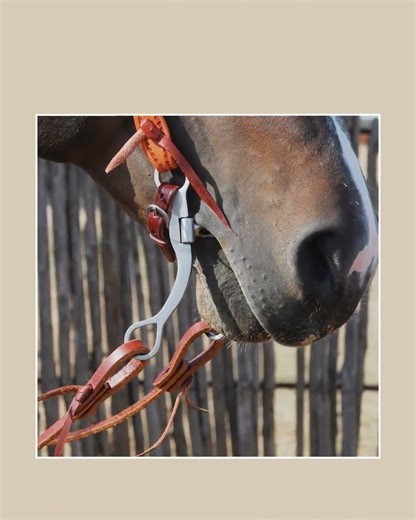 Performance Straight Shank Bit with Correction