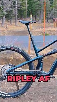 Ibis Ripley AF V2 Review #mtb #shorts