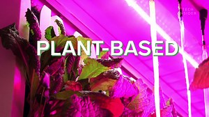 Look inside the 3D-printed Mars home that NASA awarded $500,000