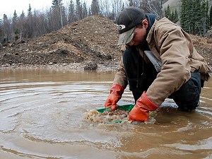 Gold Rush Season 4 Episode 5