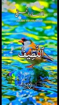 99 Names of Allah( Asma ul Husna)#Allah#duet#islamicshorts#shortsfeed#love#muslim