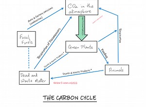 THE NUTRIENT CYCLES [CSEC BIOLOGY & HSB]