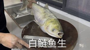 兄弟捡得条白鲢 又钓了点蓝刀鱼，拿来叫我做鱼生，和兄弟简单吃点 喝点，我们的农村生活，男人的快乐就是这么简单