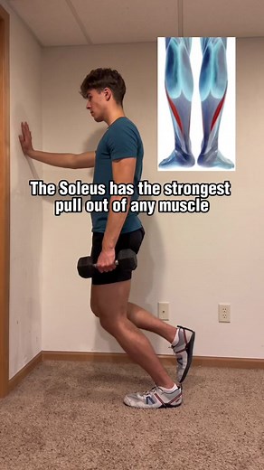 Effective Soleus Muscle Training Techniques for Athletes