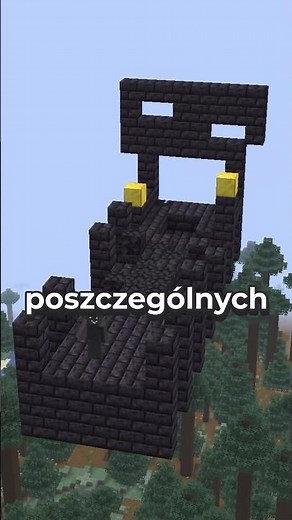 Ten biom w minecraft skrywa sekret! #minecraft #anarchiagg