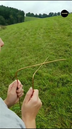 How Water Divining Technique Works #shorts #ytshorts