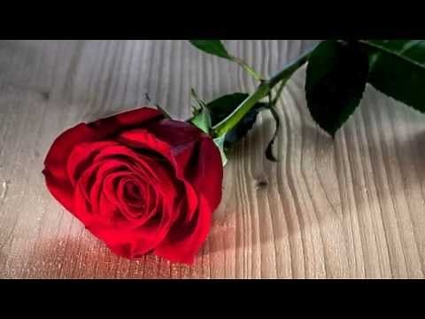 HAPPY BIRTHDAY DENISE