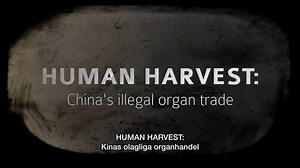 Human Harvest (Swedish)
