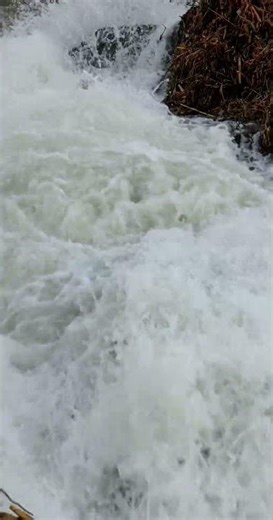 A Strong Rapids