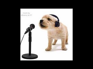 different animals rapping (compilation)