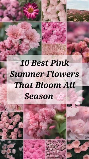 10 Best Pink Summer Flowers for Your Garden 🌸 #pinkflower #summergarden #shortfeed