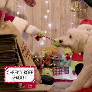 In-store & online now | Pets UK | Facebook