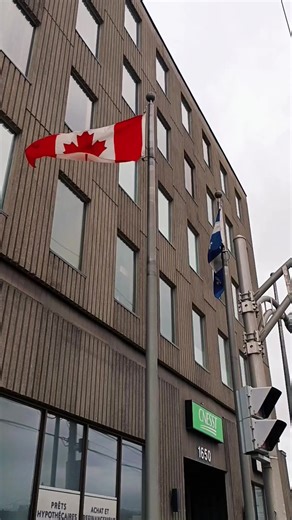 Vidéos de Bio zéphyr (@bio_zephyr) avec son original - elhayat.tv