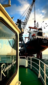 10K views · 51 reactions | Yuup shots on Reels | Facebook