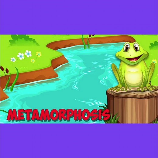 Amphibian Song (short version)