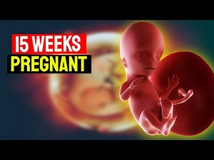15 Weeks Pregnant: Your Baby's Growth & Development | Pregnancy Symptoms & Tips
